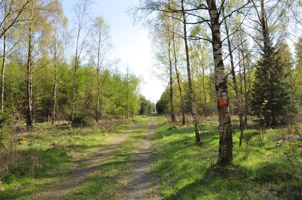 Stf Vandrarhem Blentarp Номер фото